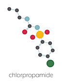 Chlorpropamide diabetes drug molecule, illustration