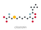 Cilastatin molecule, illustration