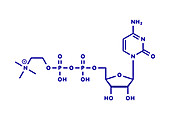 Citicoline molecule, illustration