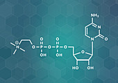 Citicoline molecule, illustration