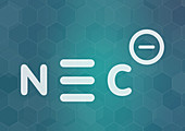 Cyanide anion chemical structure, illustration