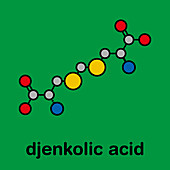 Djenkolic acid molecule, illustration
