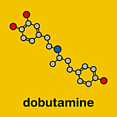 Dobutamine sympathomimetic drug molecule, illustration