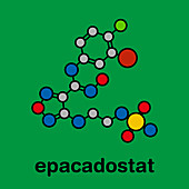 Epacadostat cancer drug molecule, illustration