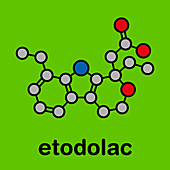 Etodolac NSAID drug molecule, illustration