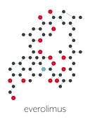 Everolimus immunosuppressant molecule, illustration