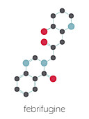 Febrifugine alkaloid molecule, illustration