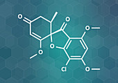 Griseofulvin antimycotic drug molecule, illustration