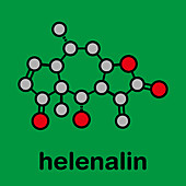 Helenalin sesquiterpene lactone molecule, illustration