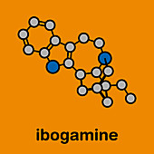 Ibogamine alkaloid molecule, illustration