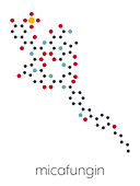 Micafungin antifungal drug molecule, illustration