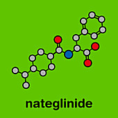 Nateglinide diabetes drug molecule, illustration