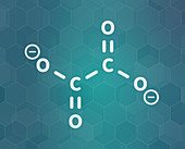 Oxalate anion chemical structure, illustration