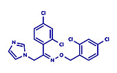 Oxiconazole antifungal drug molecule, illustration