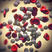 Coronavirus infection, illustration