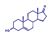 Prasterone drug molecule, illustration