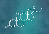 Prednisone corticosteroid drug molecule, illustration