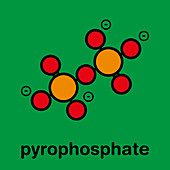 Pyrophosphate anion, illustration