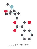 Scopolamine anticholinergic drug molecule, illustration