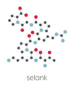 Selank nootropic and anxiolytic drug molecule, illustration