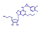 Ticagrelor platelet inhibitor drug, illustration