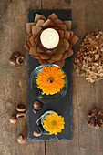 Autumnal arrangement of yellow pot marigolds in jars and paper-flower candle holders