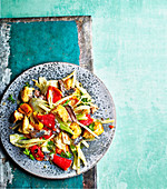 Bread salad with red pepper and fennel