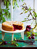 Plum cake