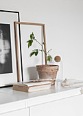 Potted plant, book, picture frame and photograph on white chest of drawers