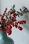 Ilex-Zweige mit roten Beeren und Eukalyptus in einer blauen Vase