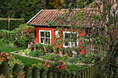 Rotes Gartenhaus mit Gemüsebeet im spätsommerlichen Garten