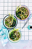 Soba noodle Bowls with chilli Garlic Sauce vegetable life