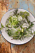Fresh herbs - fennel, rosmery, sage, tyme
