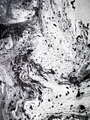 Black and white marbled surface