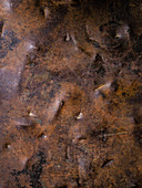 A brown surface (background)