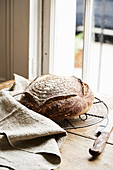 Frischgebackenes Sauerteigbrot auf Abkühlgitter