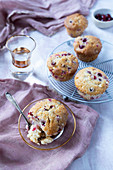 Muffns with cranberry and white chocolate