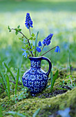 Grape hyacinths, squill and golden currant leaves in blue jug