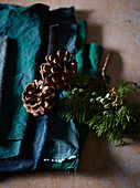 Conifer branch and dried pine cones