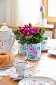 Primulas in handmade floral cache pots on table set for afternoon coffee