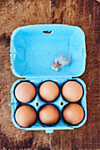 Brown eggs in a box