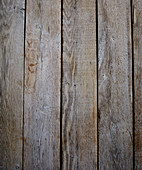 Wood Background