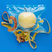 A peeled apple vacuum-packed in a plastic bag
