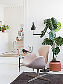 Designer armchair and Swiss cheese plant in Scandinavian-style living room