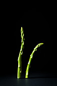 Spears of green asparagus standing up