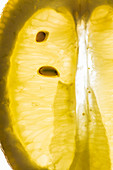 A sliced lemon (close-up)