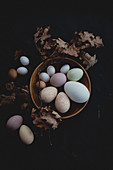 Eier in verschiedenen Größen und Farben mit trockenem Eichenzweig