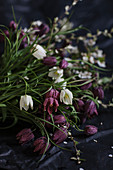 Snake's head fritillaries on dark surface