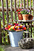 Late-summer arrangement of flower wreath and potatoes in garden
