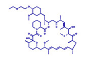 Umirolimus immunosuppressant molecule, illustration